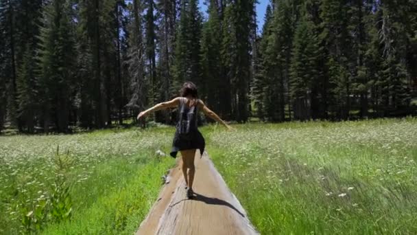 Una Giovane Donna Che Passeggia Attraverso Albero Caduto Nel Sequoia — Video Stock