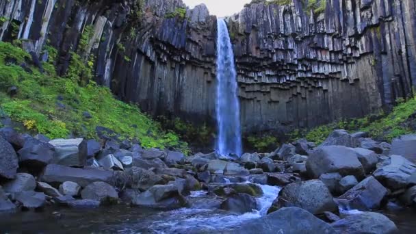 The beautiful Svartifoss waterfall in Iceland — Stock Footage Beautiful Svartifoss Waterfall Iceland Royalty Free Stock Video