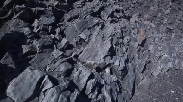 サネフェルスネス半島の黒いビーチの一つの上の若い男 アイスランド — ストック動画