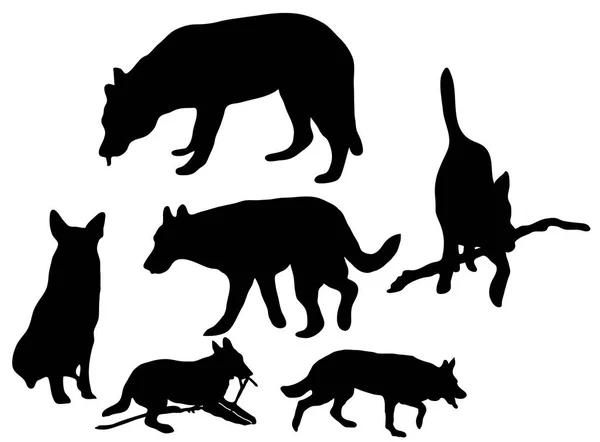 Silhouette of the dogs — Stock Vector