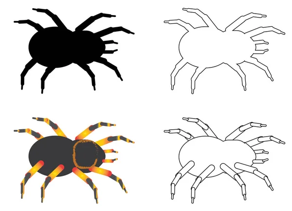 Beyaz arkaplanda beyaz, siyah ve renkli tarantula