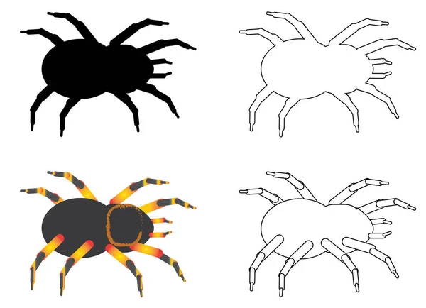 Белый Черный Цветной Тарантул Белом Фоне — стоковый вектор