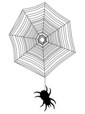 Örümcek ağındaki siyah örümceğin silueti