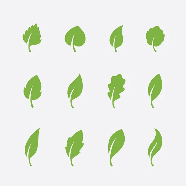 Iconos de hojas sobre fondo blanco — Vector de stock