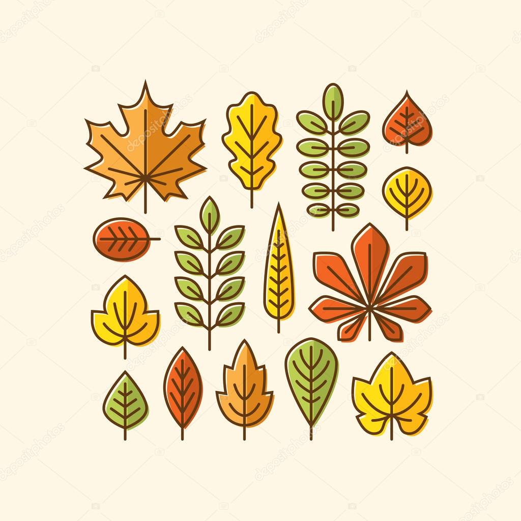 Colorful autumn leaves line icons set. Tree leaf logo, symbol. Fall design element.