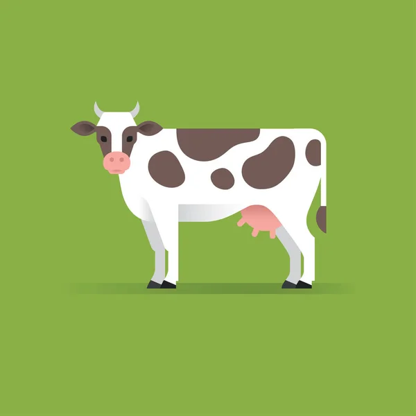 Vector vaca ilustración . — Vector de stock