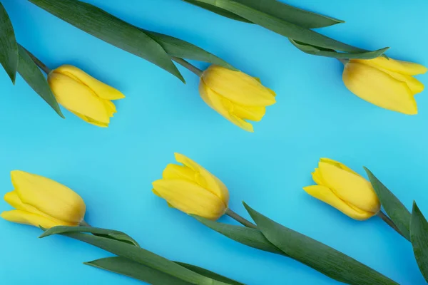 Желтые Тюльпаны Синем Фоне День Матери Весна Спа Красота Концепции — стоковое фото