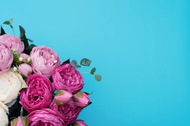 Mavi arka planda pembe ve beyaz çiçekler. Anneler Günü, bahar konsepti. Selamlar, davetiye. Düz konum, metin için kopyalama alanı olan üst görünüm biçimi.