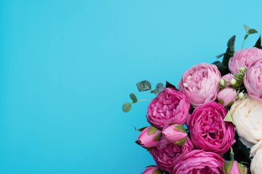 Mavi arka planda pembe ve beyaz çiçekler. Anneler Günü, bahar konsepti. Selamlar, davetiye. Düz konum, metin için kopyalama alanı olan üst görünüm biçimi.