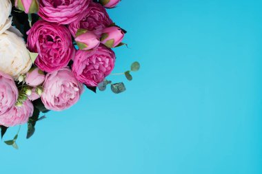 Mavi arka planda pembe ve beyaz çiçekler. Anneler Günü, bahar konsepti. Selamlar, davetiye. Düz konum, metin için kopyalama alanı olan üst görünüm biçimi.