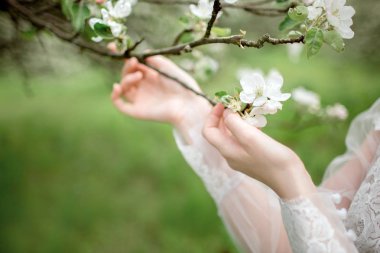 Şu yeni gelişen bir elma ağacı dalı ile güzel kız el.