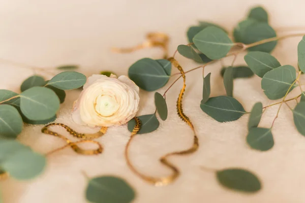 Ranunculus de fleurs avec eucalyptus — Photo