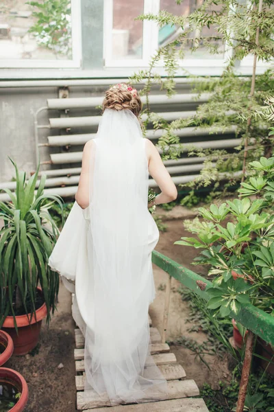 Coiffure de mariage à la mode avec des roses fraîches. Beau style, vue arrière. La mariée se tient le dos à la caméra . — Photo