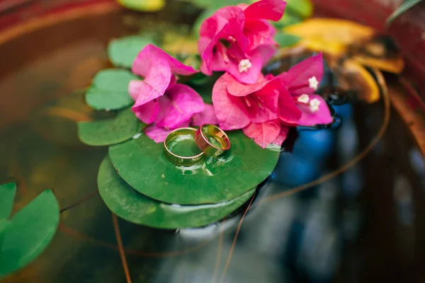 Wedding rings on a sheet of water-lilies in the water, around bright pink flowers. — Stock Photo, Image