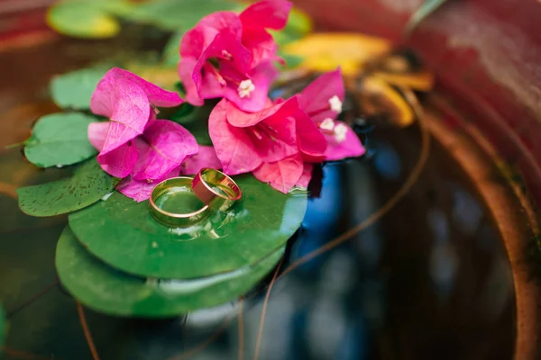 Wedding rings on a sheet of water-lilies in the water, around bright pink flowers. — Stock Photo, Image