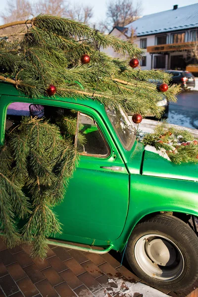 Пышная зеленая ель на крыше зеленого, старого ретро-автомобиля. Сосна украшена красными рождественскими шарами и гирляндами. Рождественская елка на вершине . — стоковое фото