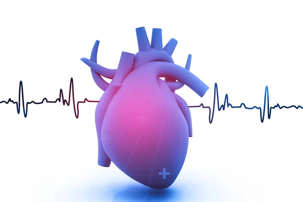 Mänskliga Hjärtat Med Ekg Diagram Vit Bakgrund — Stockfoto