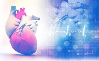 EKG grafik üzerinde beyaz arka plan ile insan kalbi