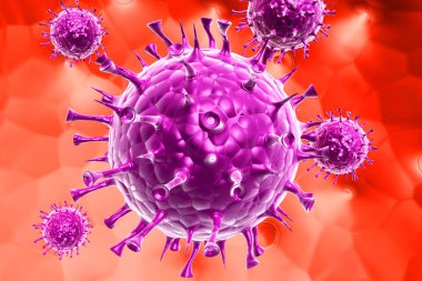 3 boyutlu insan virüsü.