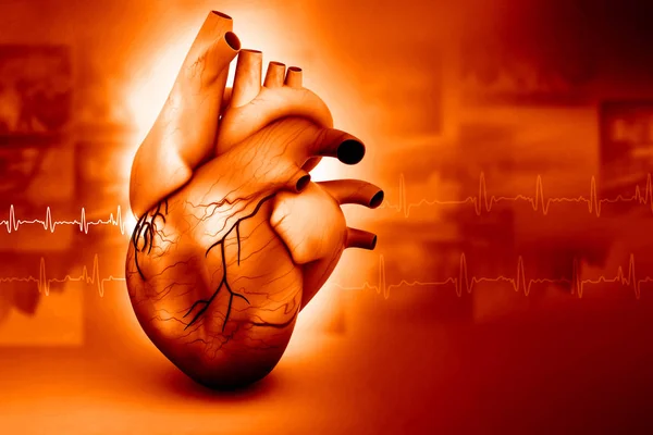 Render Mänskliga Hjärtat Abstrakt Bakgrund — Stockfoto