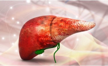 İnsan karaciğer anatomisi ile dna yapısı, 3d render  