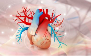 Human heart on abstract background	 clipart