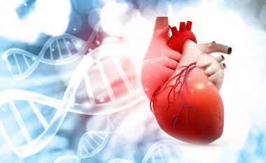 İnsan kalp anatomisi Dna yapısı arka plan ile. 3D render