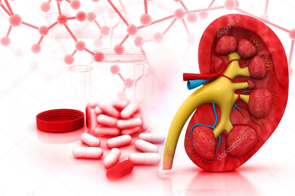 3d render of Human kidney with medicines