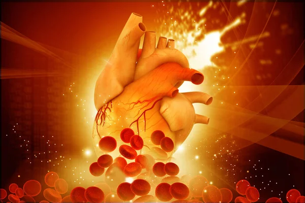 Mänskliga Hjärtat Med Blodkroppar Abstrakt Bakgrund Stockbild