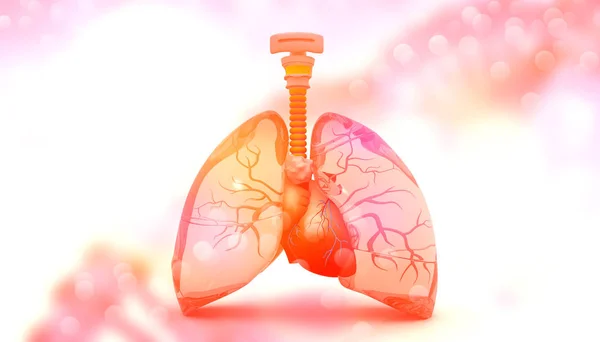 人間の肺 イラストレーション — ストック写真