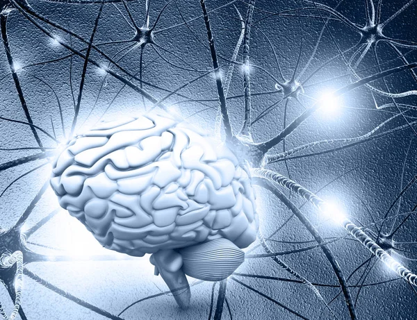 Ανθρώπινος Εγκέφαλος Και Νευρώνα Κύτταρα Αφηρημένο Μπλε Φόντο Απεικόνιση — Φωτογραφία Αρχείου