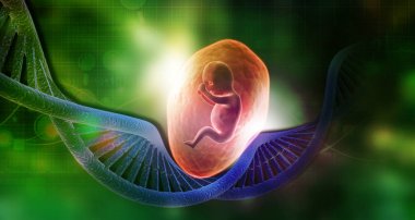Fetüsün DNA'sı. 3D çizim