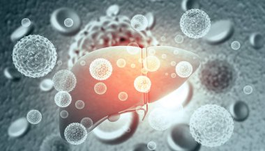 Karaciğer enfeksiyonu hepatit virüsleri ile. 3D çizim