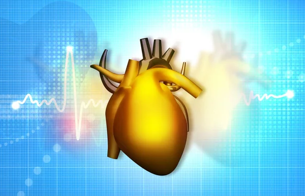 Анатомія Людського Серця Ілюстрація — стокове фото