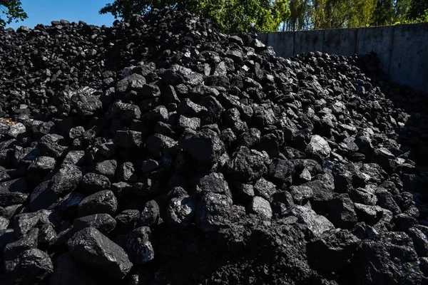 Satılık kömür. — Stok fotoğraf