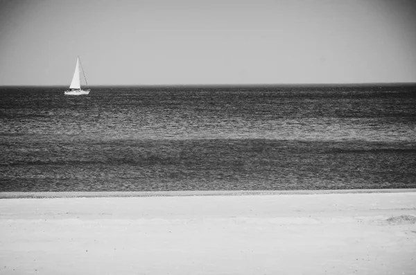 Mer polonaise de brise-lames et dunes de sable . — Photo