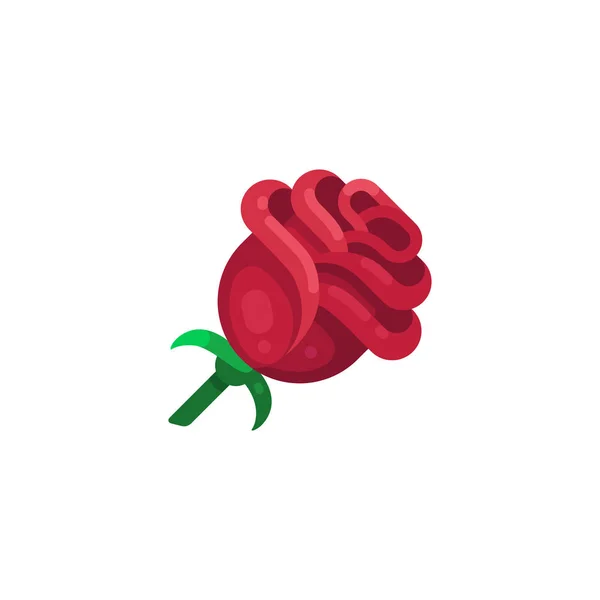 变式浪漫玫瑰 — 图库矢量图片