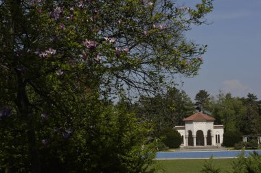 Sırp Kraliyet ailesinin Karadjordjevich Belgrad'da villası