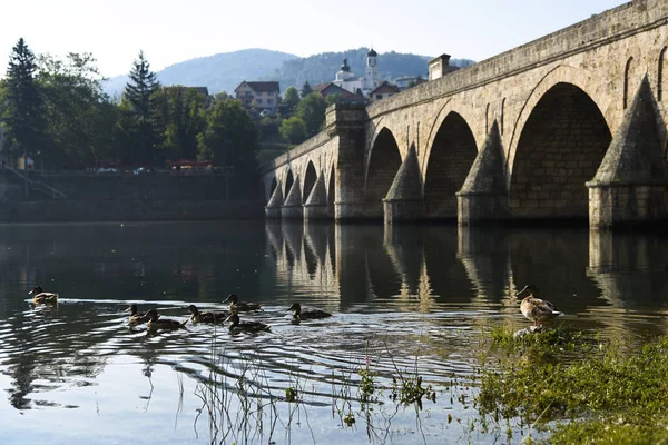 Kaczki Rzece Drina Pobliżu Mostu Osmańskiego Mehmed Pasa Sokolovic Wyszehradzie — Zdjęcie stockowe