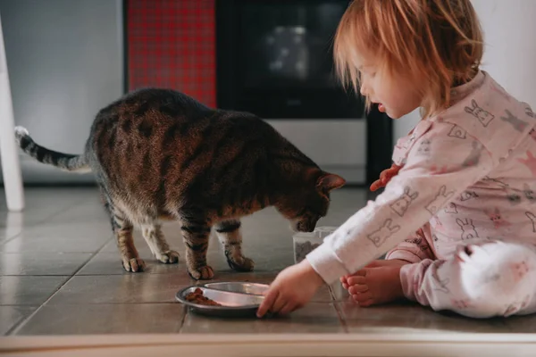 Adorable Niña Pequeña Ropa Dormir Alimentación Gato Doméstico Comida Seca Imagen de stock