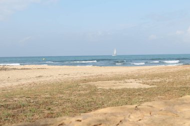 Akdeniz 'de tek başına beyaz yelkenli.