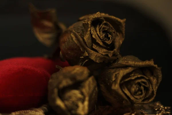 Χάλκινο Τόνο Τριαντάφυλλου Κόκκινο Βελούδινο Φόντο — Φωτογραφία Αρχείου