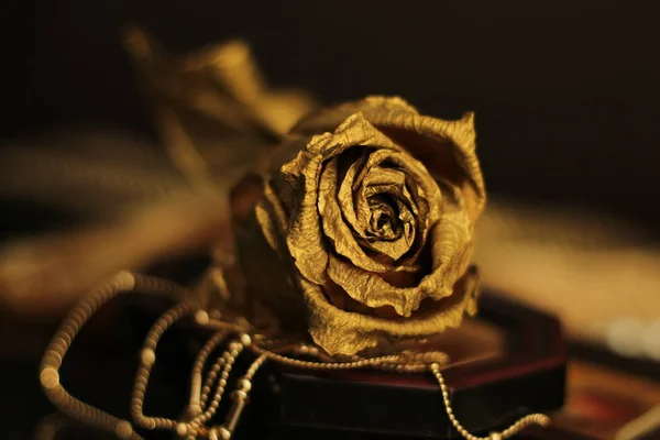 一朵金色的玫瑰躺在一幅静谧的小画像上 — 图库照片