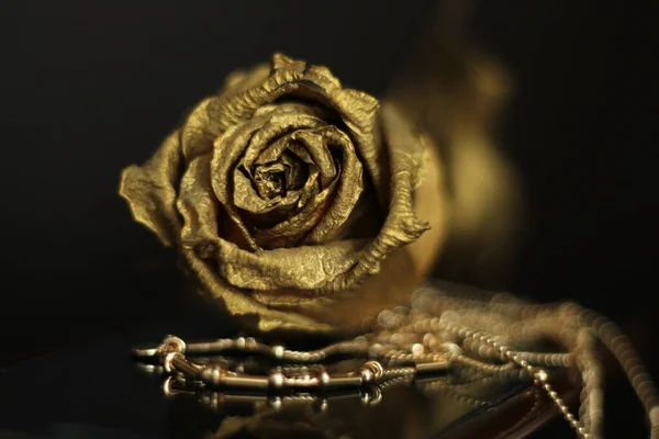 Роскошный Цветок Золотой Розы Темном Фоне — стоковое фото
