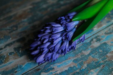 Altın kabartmalı mavi bir zemin üzerinde güzel mor ortanca çiçeği