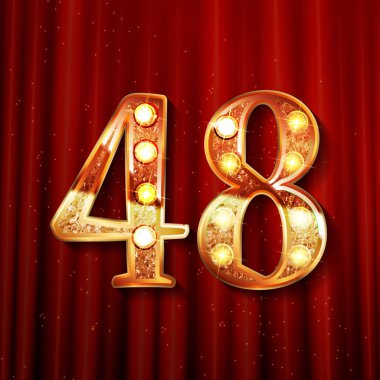 48 yıllık yıldönümü kutlama logo