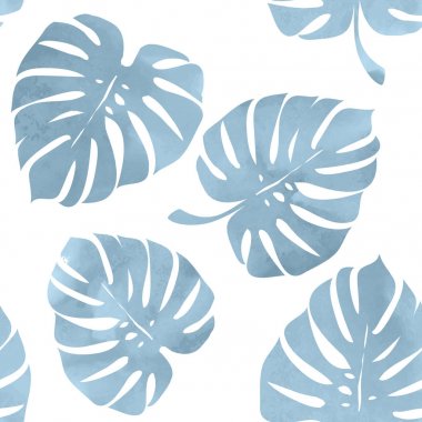 Tropikal yaprak, beyaz bir arka plan üzerinde monstera.