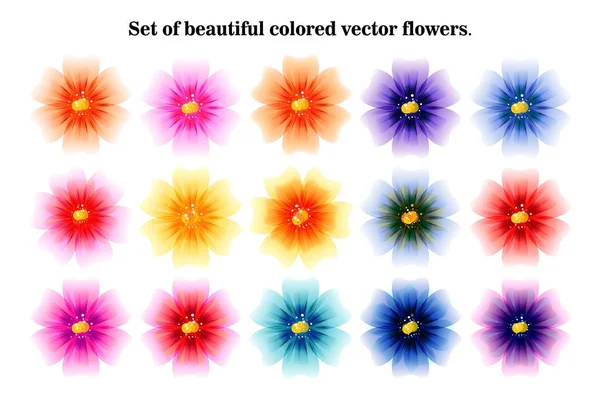Een collectie van bloemen voor het ontwerp. — Stockvector