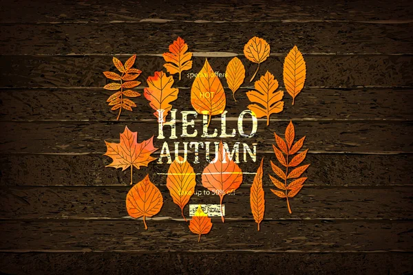 Happy Thanksgiving holiday banner with congratulation text on frame. Autumn tree leaves border on wooden background. Autumnal design for fall season greeting card, paper cut style, vector illustration