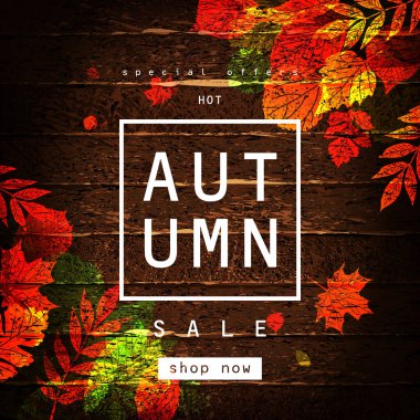 Vektör sonbahar satış harflerle etiket. El ile banner tipografi ve yaprakları bir ahşap arka plan üzerinde çizilmiş